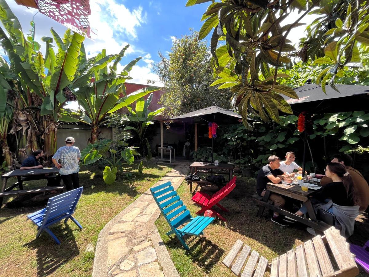 The Coffee Bean Hostel San Cristóbal de Las Casas Esterno foto